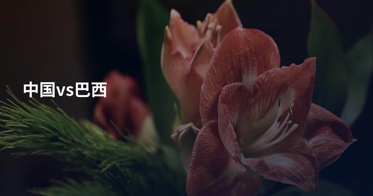中国vs巴西