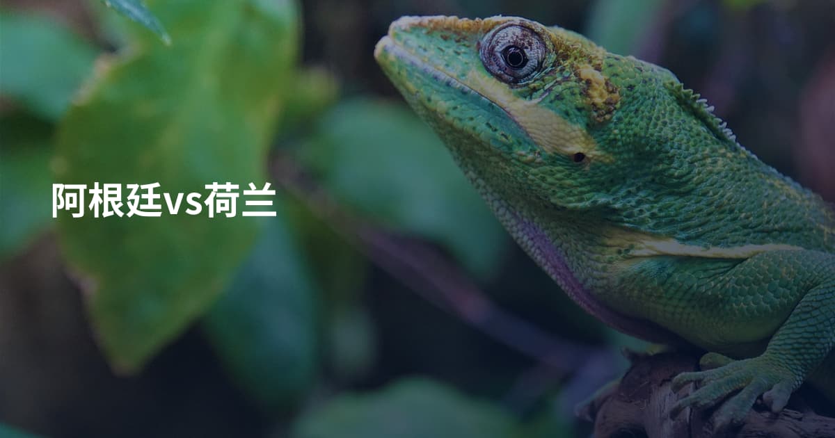 阿根廷vs荷兰