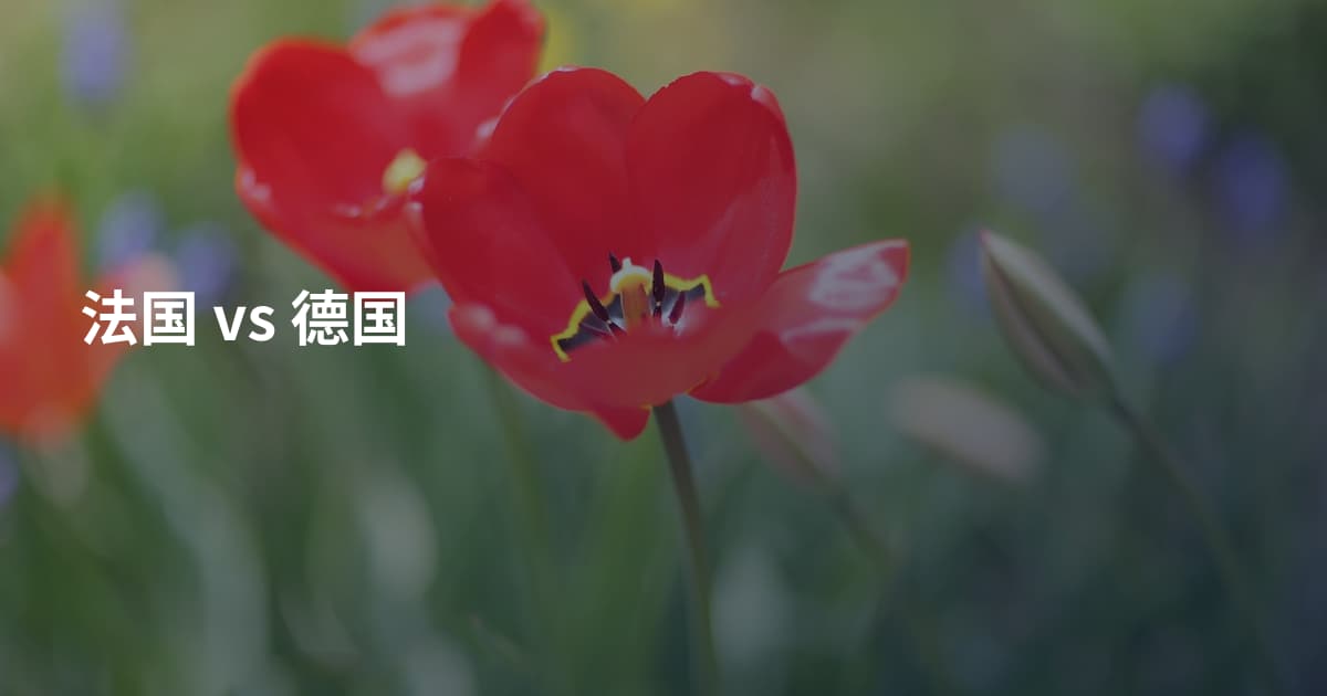 法国 vs 德国
