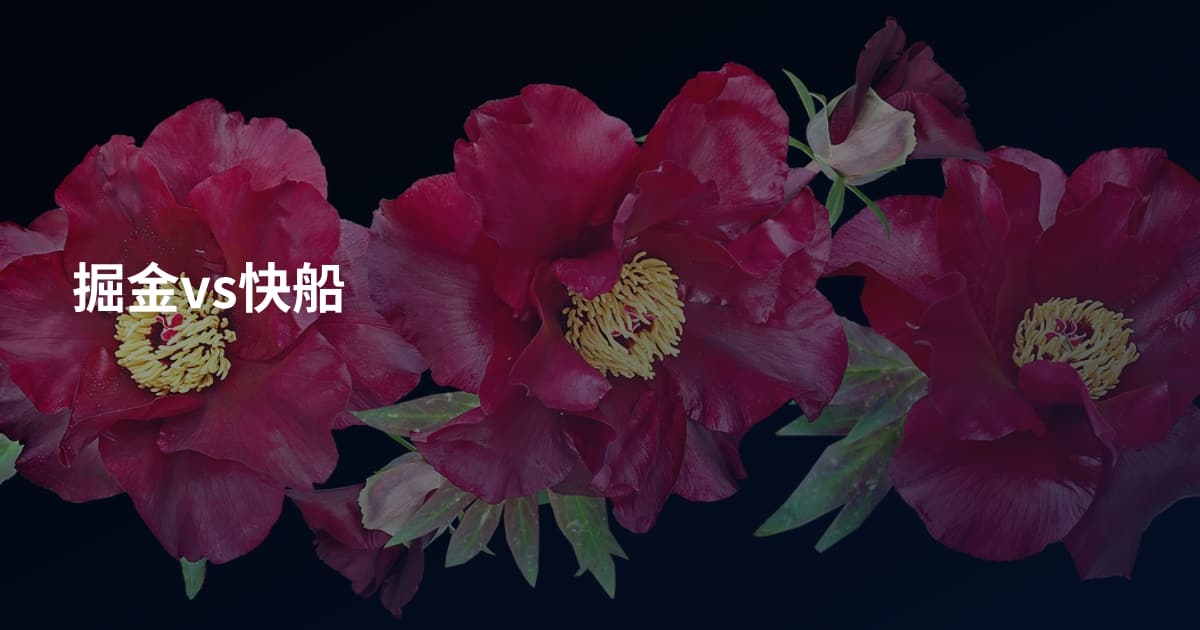 掘金vs快船