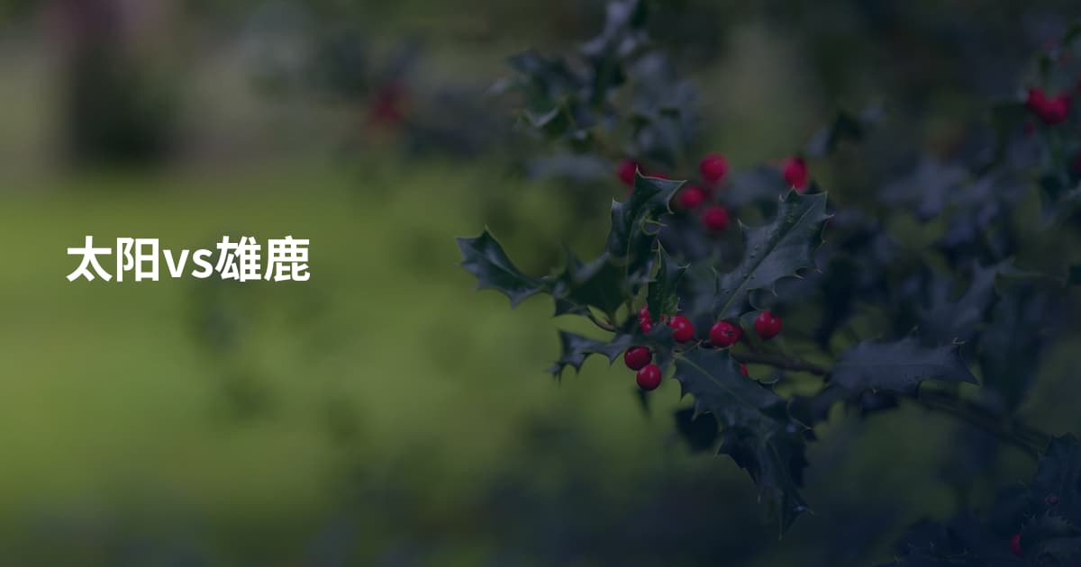 太阳vs雄鹿