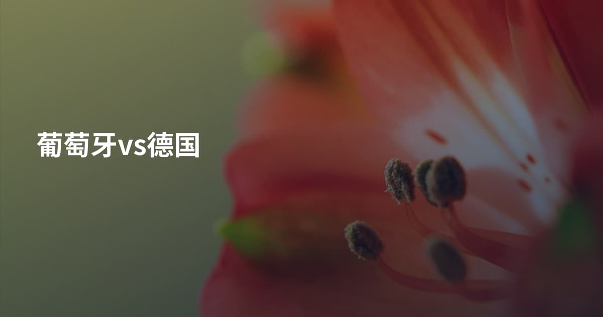 葡萄牙vs德国
