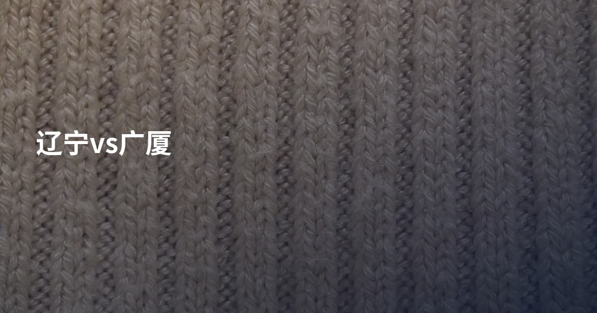 辽宁vs广厦