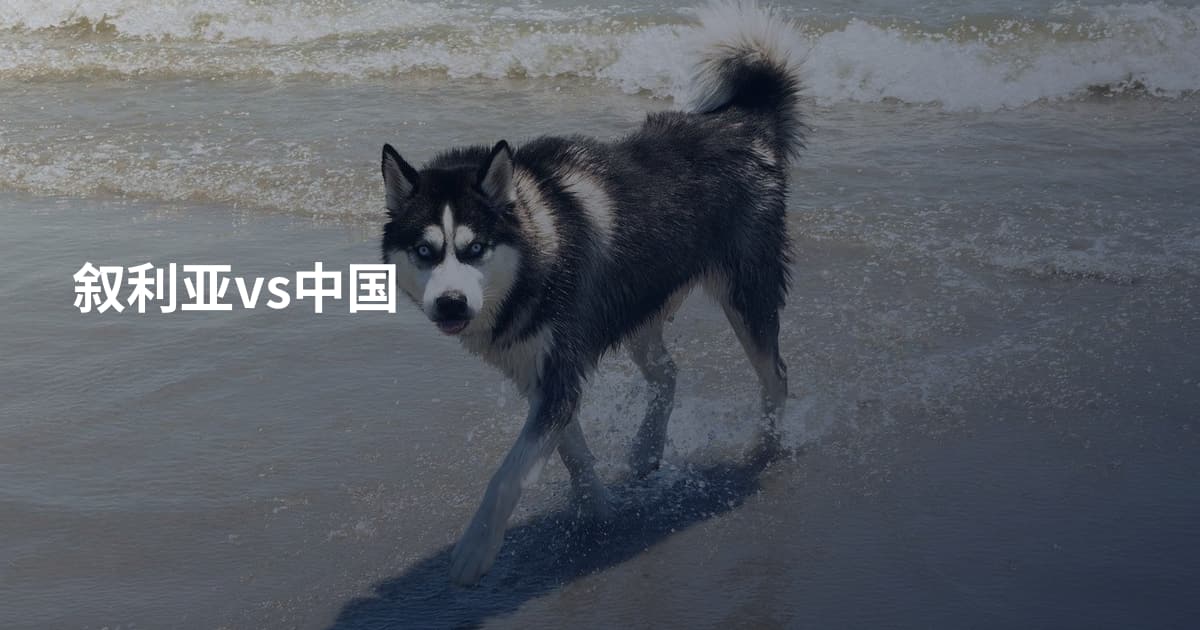 叙利亚vs中国