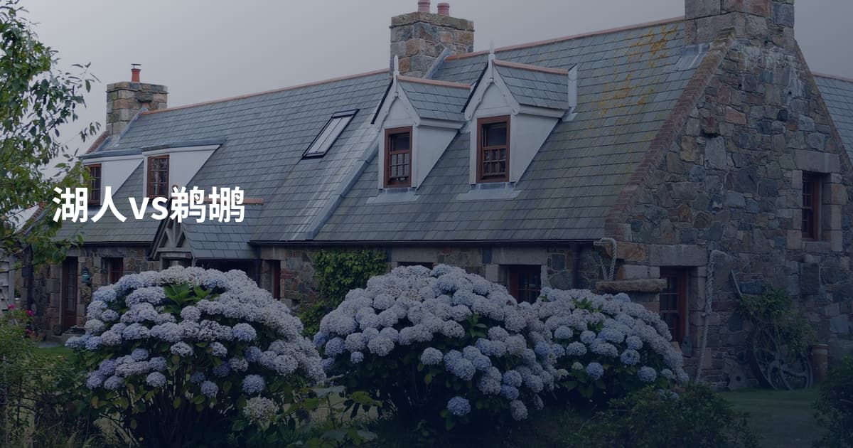 湖人vs鹈鹕