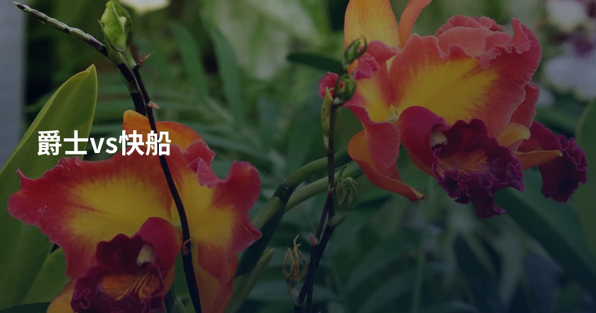 爵士vs快船