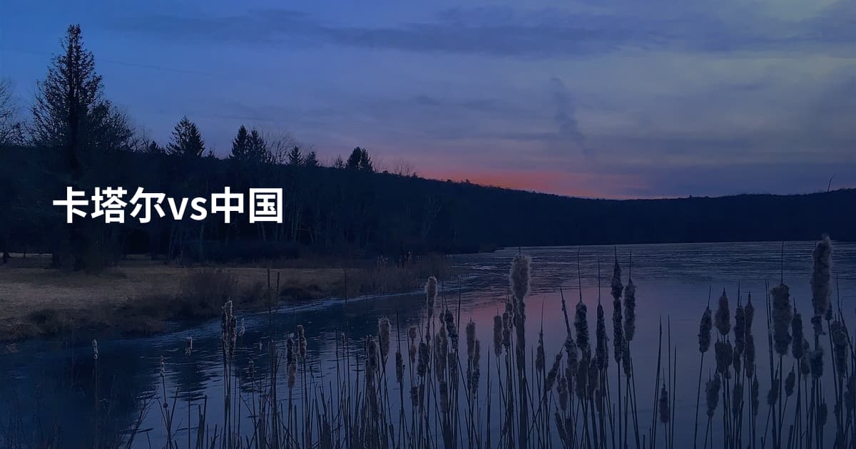 卡塔尔vs中国