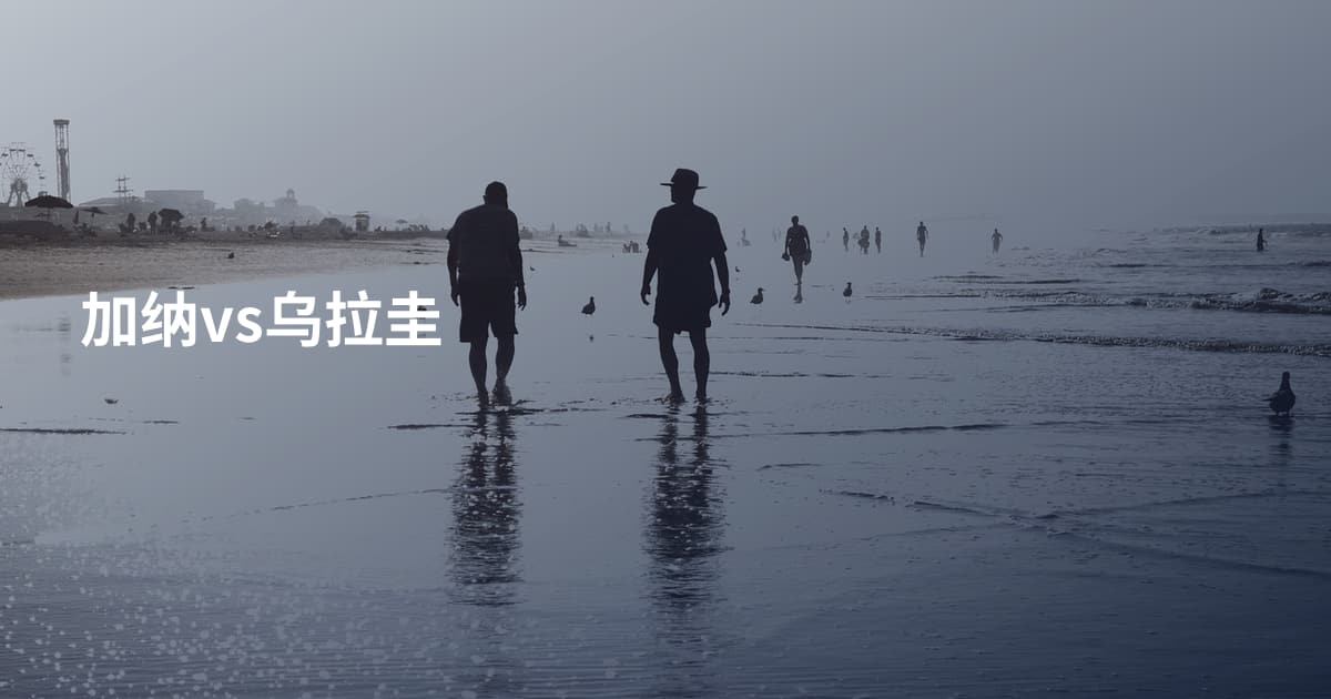 加纳vs乌拉圭