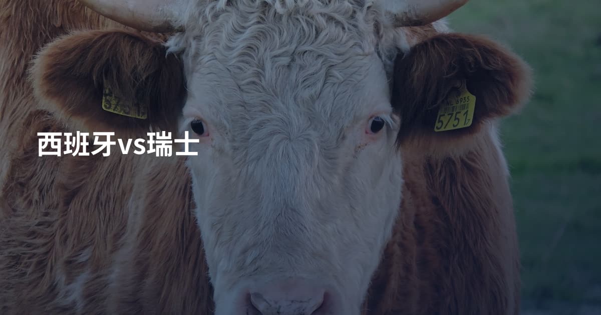 西班牙vs瑞士