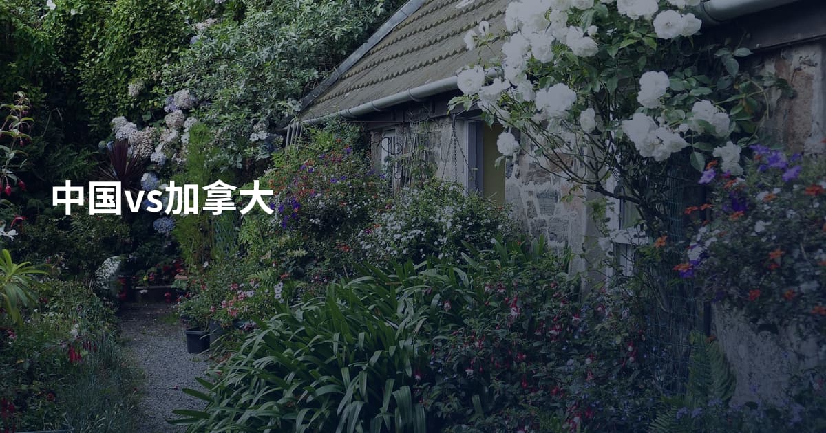 中国vs加拿大