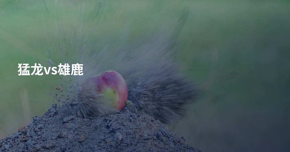 猛龙vs雄鹿