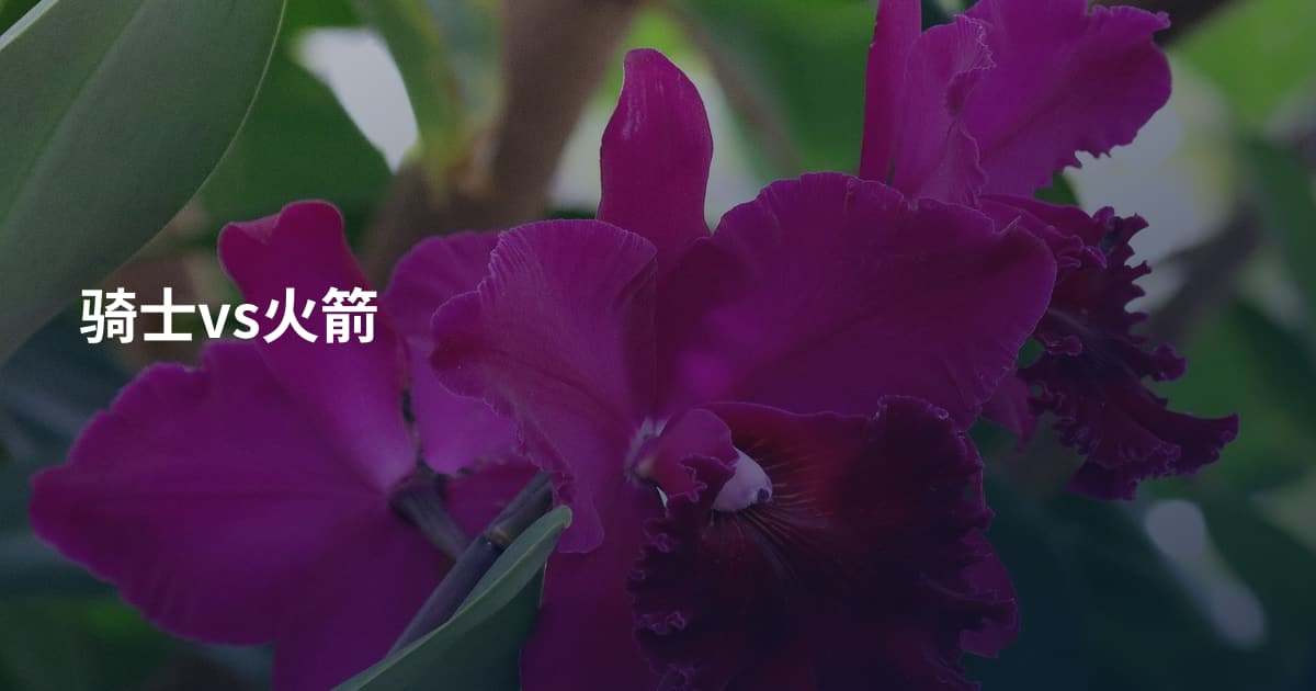 骑士vs火箭