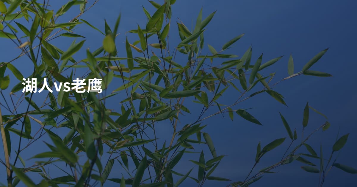 湖人vs老鹰