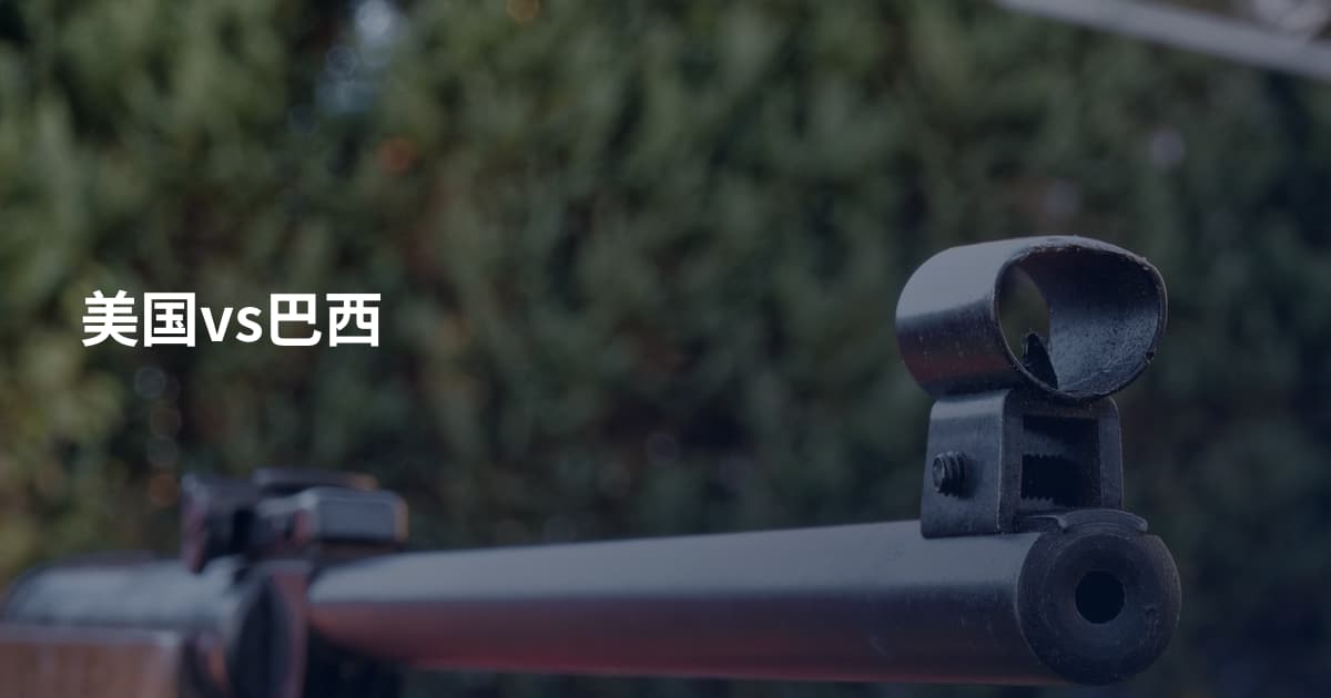 美国vs巴西
