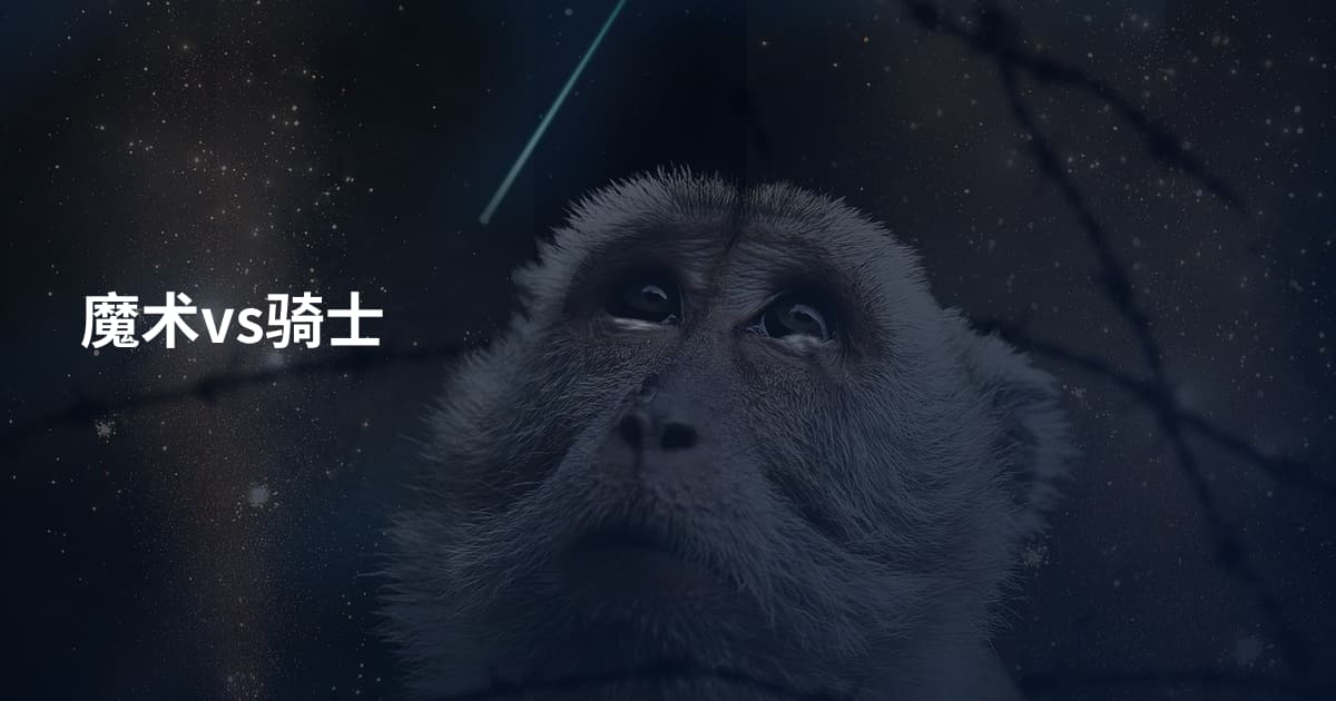 魔术vs骑士