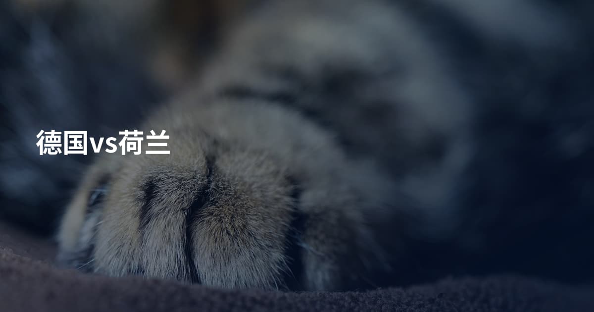 德国vs荷兰