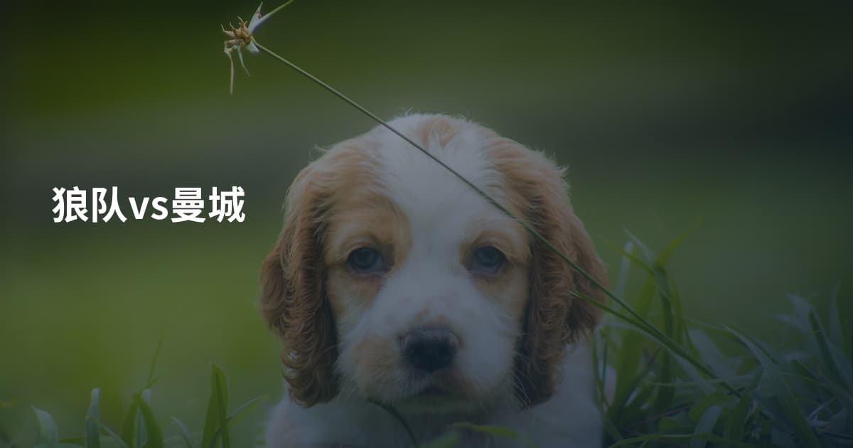 狼队vs曼城