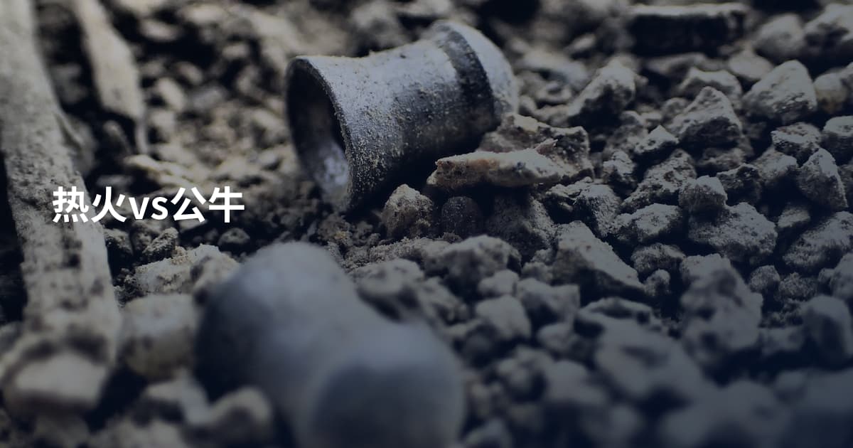 热火vs公牛