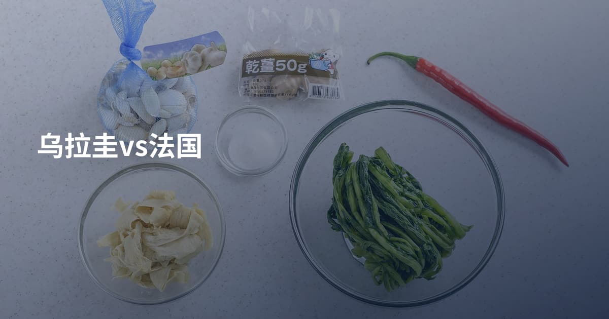 乌拉圭vs法国