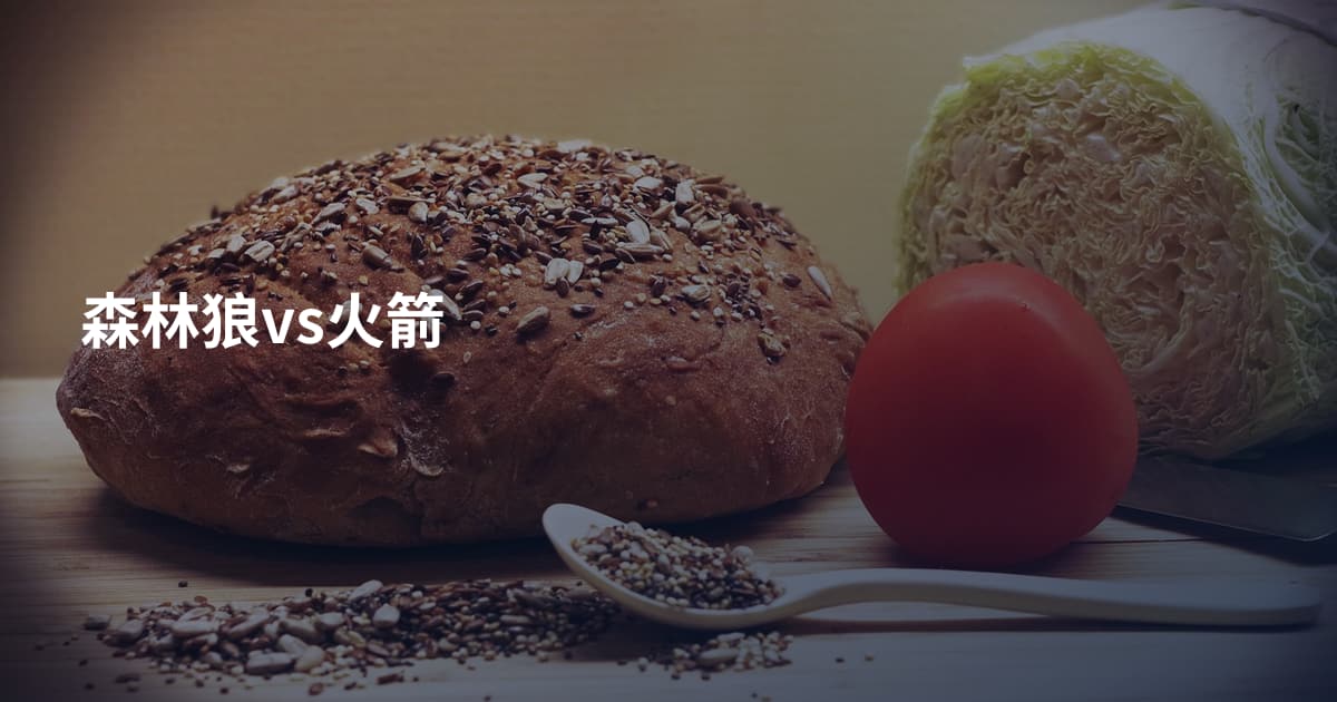 森林狼vs火箭