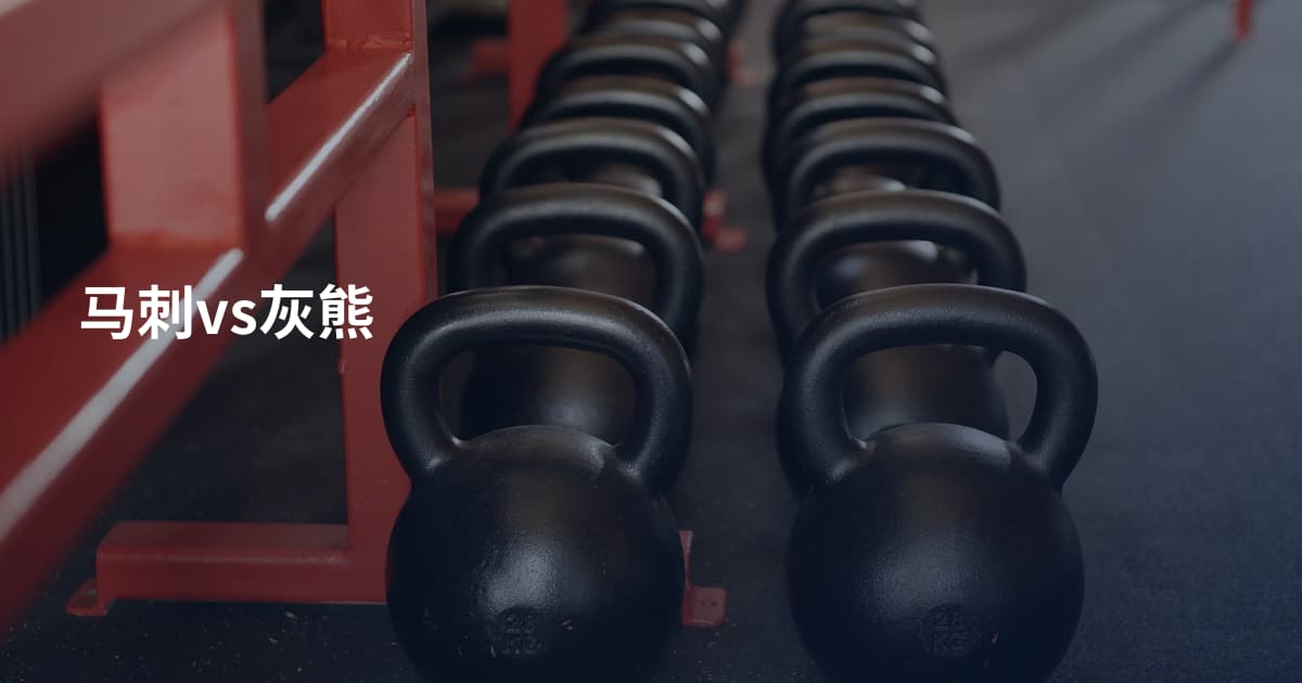 马刺vs灰熊