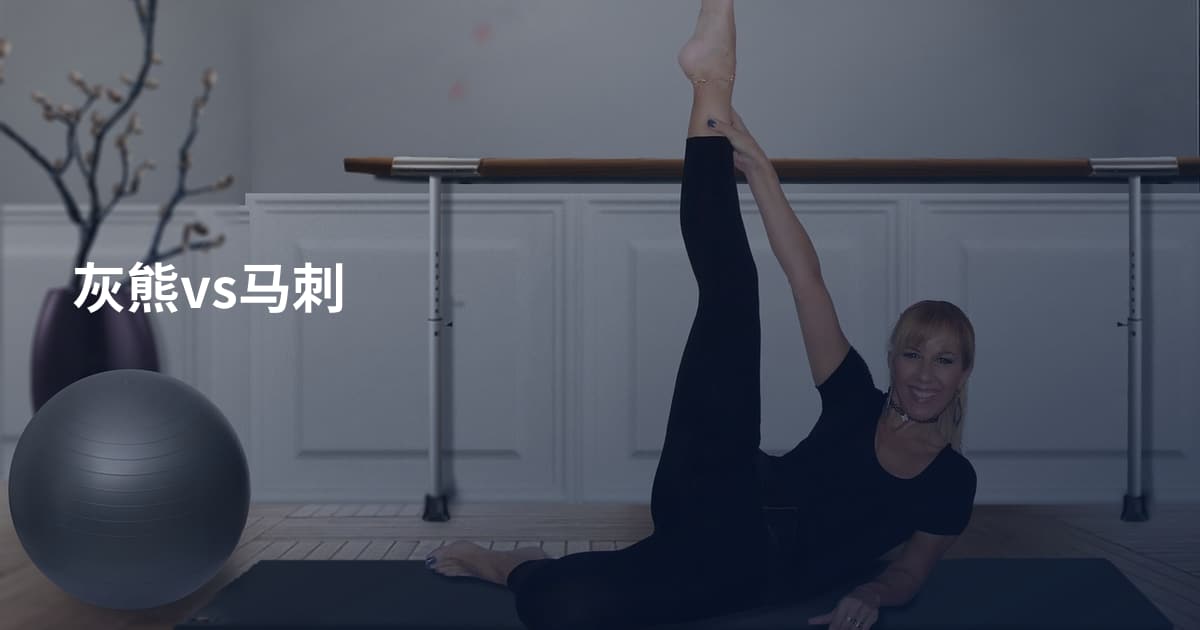 灰熊vs马刺