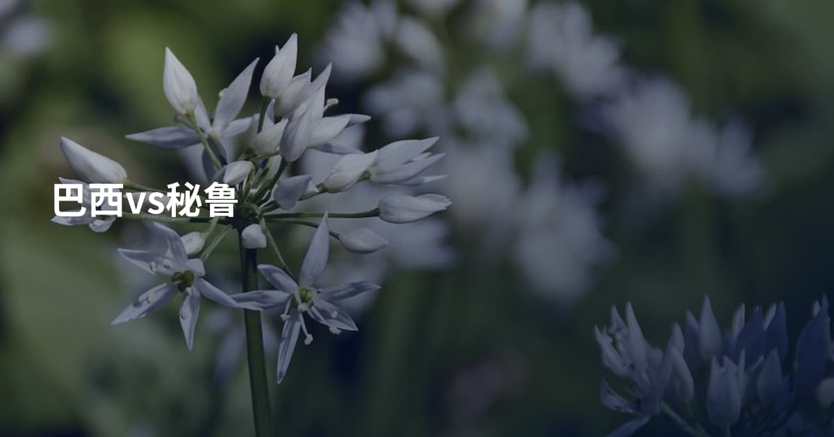 巴西vs秘鲁
