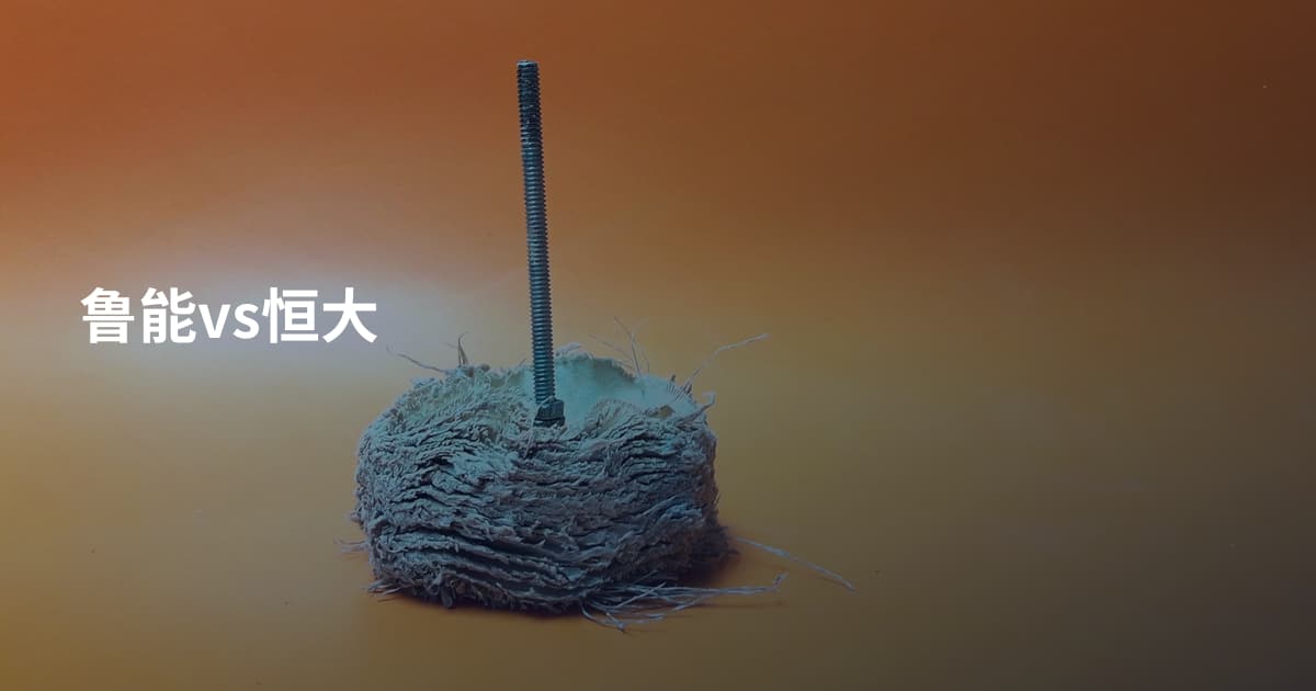 鲁能vs恒大