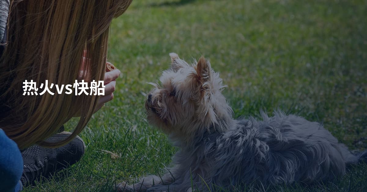 热火vs快船
