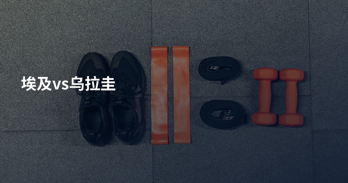 埃及vs乌拉圭