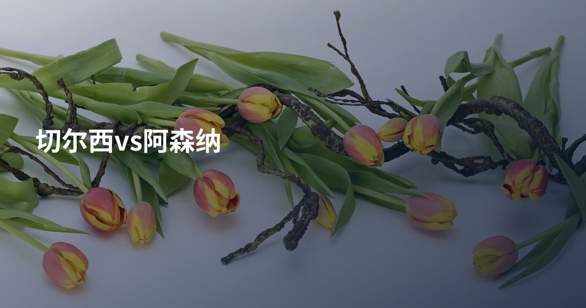 切尔西vs阿森纳