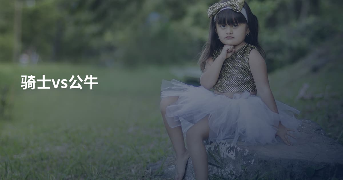 骑士vs公牛