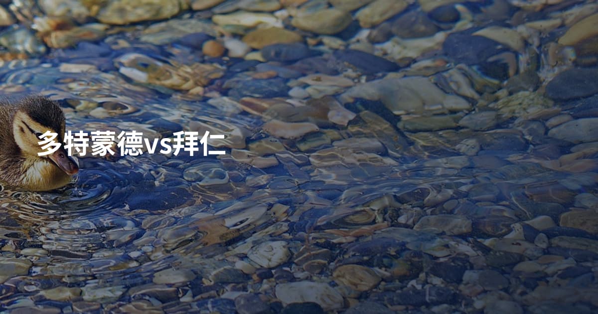 多特蒙德vs拜仁