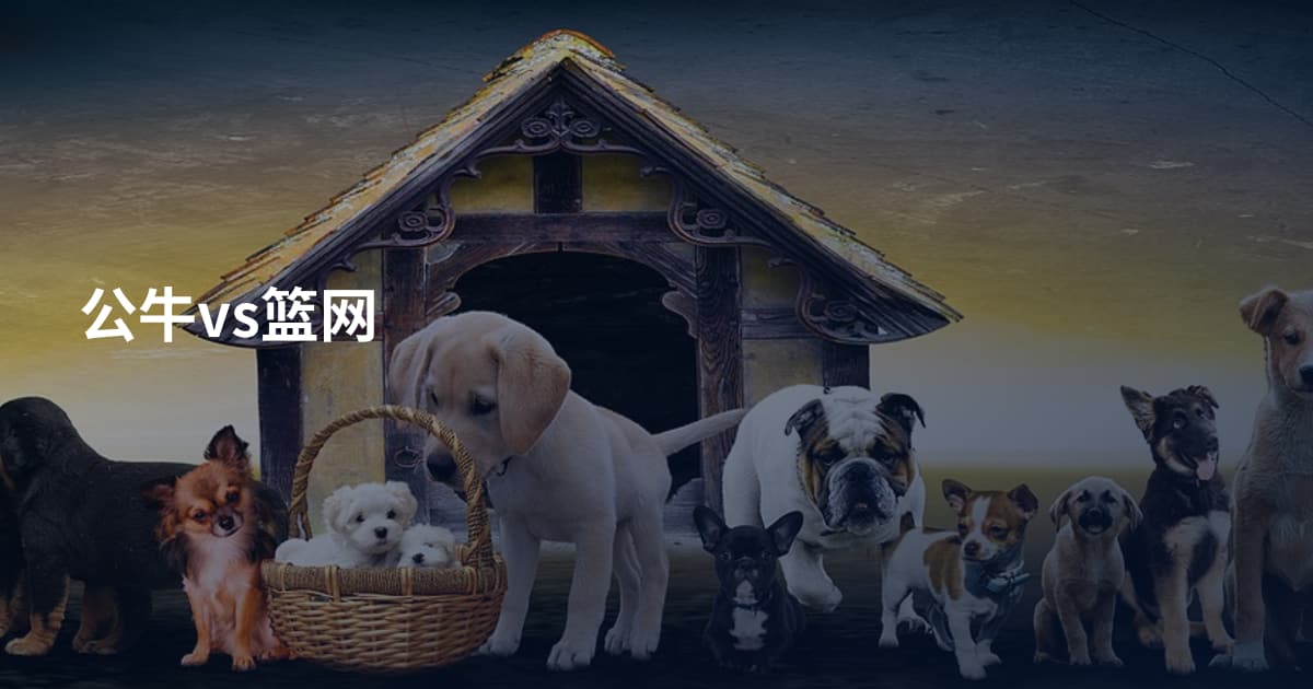 公牛vs篮网