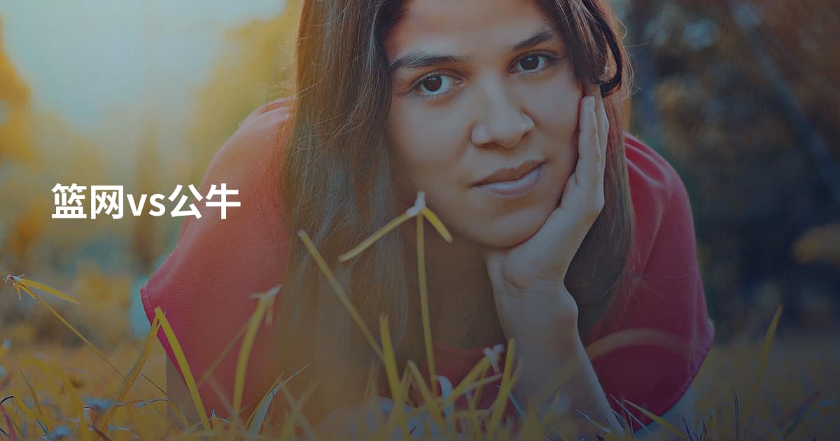 篮网vs公牛