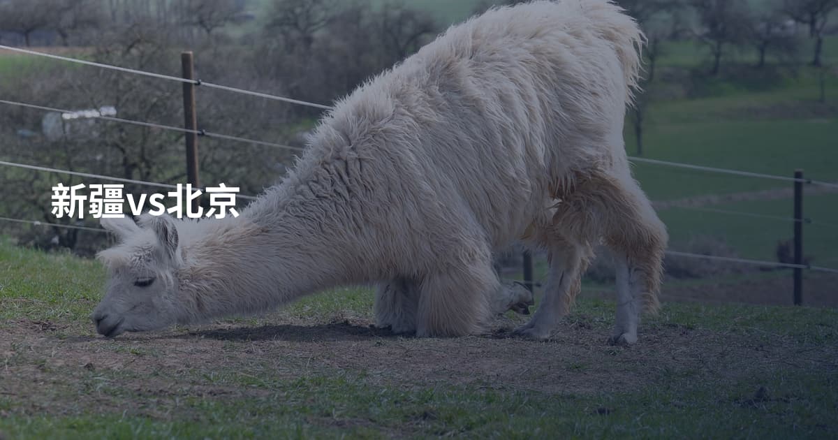 新疆vs北京