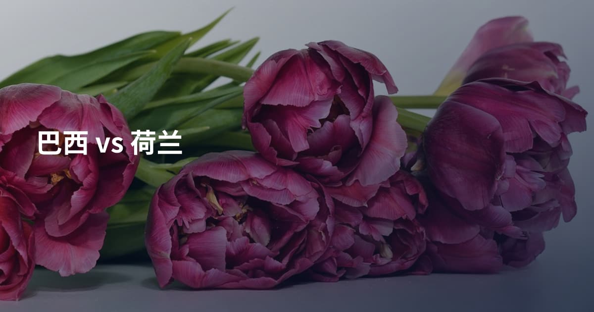 巴西 vs 荷兰