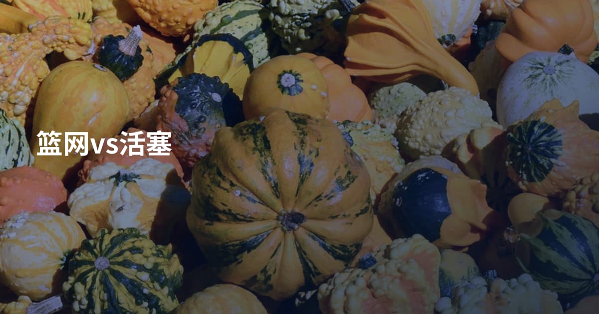 篮网vs活塞