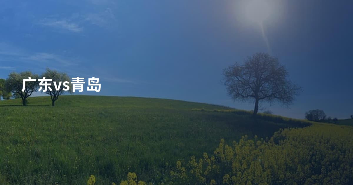 广东vs青岛