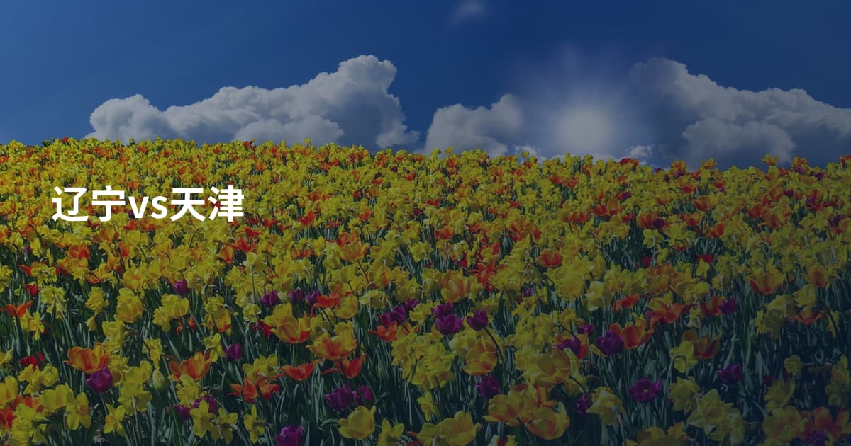 辽宁vs天津