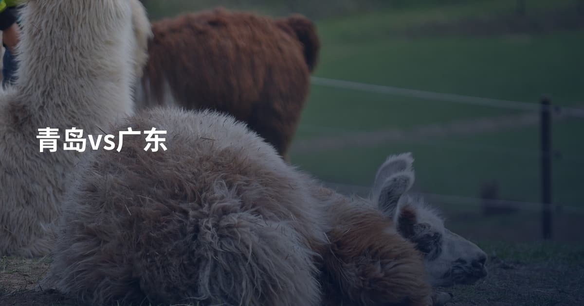 青岛vs广东