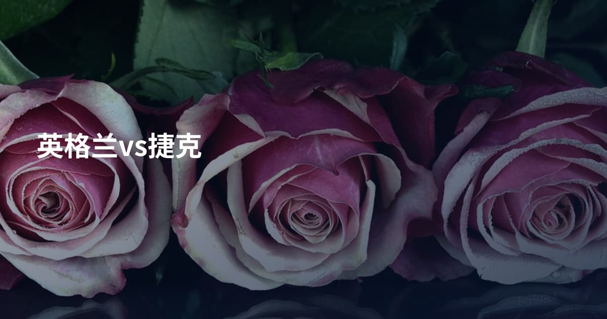 英格兰vs捷克