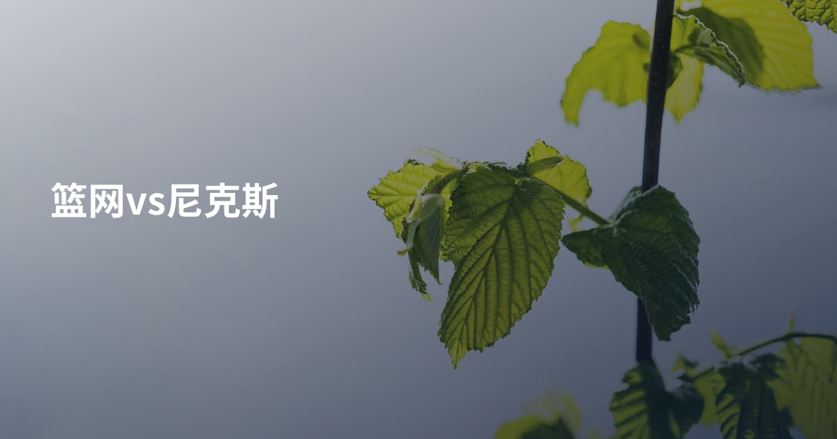 篮网vs尼克斯