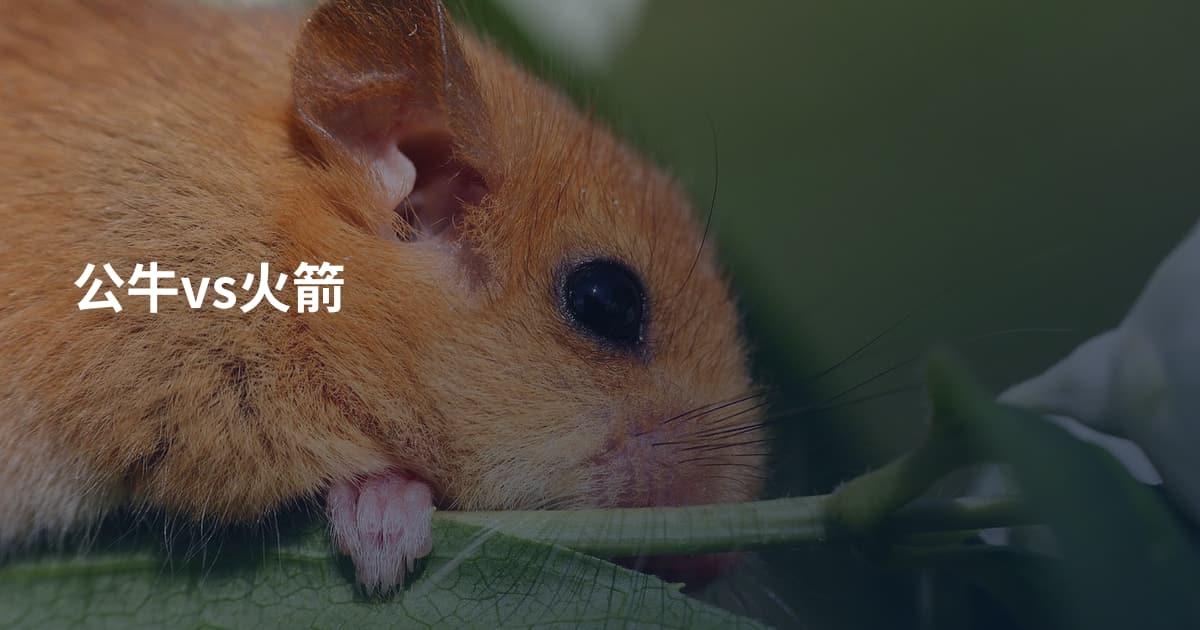 公牛vs火箭