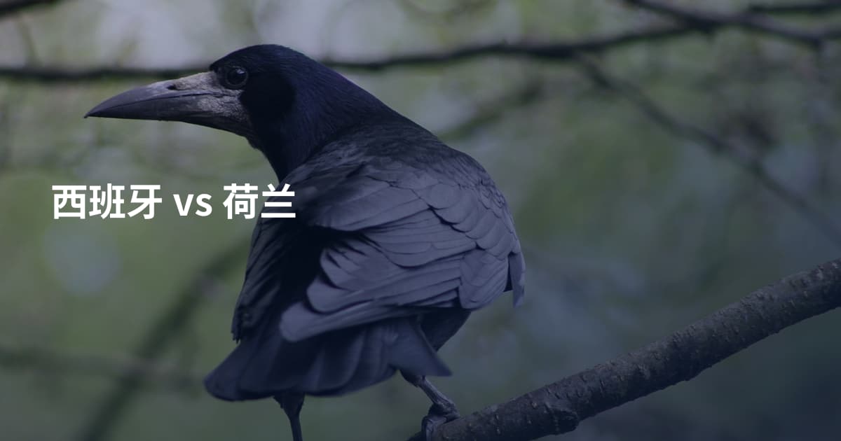 西班牙 vs 荷兰