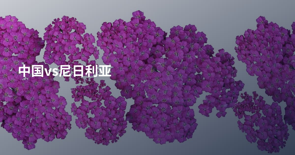 中国vs尼日利亚