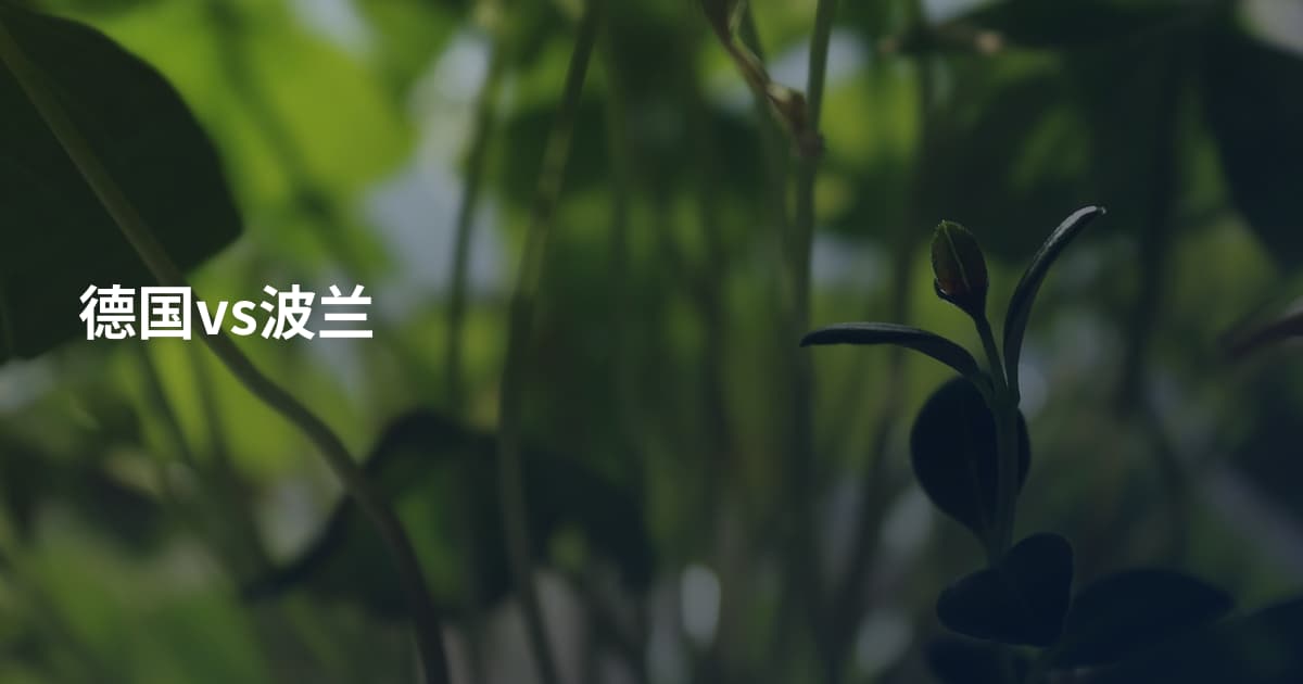 德国vs波兰