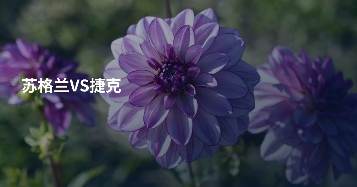 苏格兰VS捷克