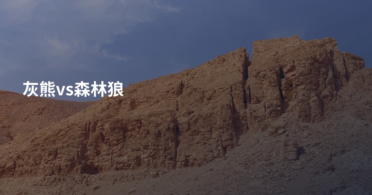 灰熊vs森林狼