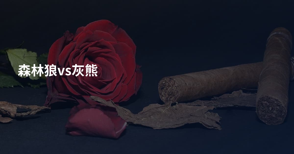 森林狼vs灰熊